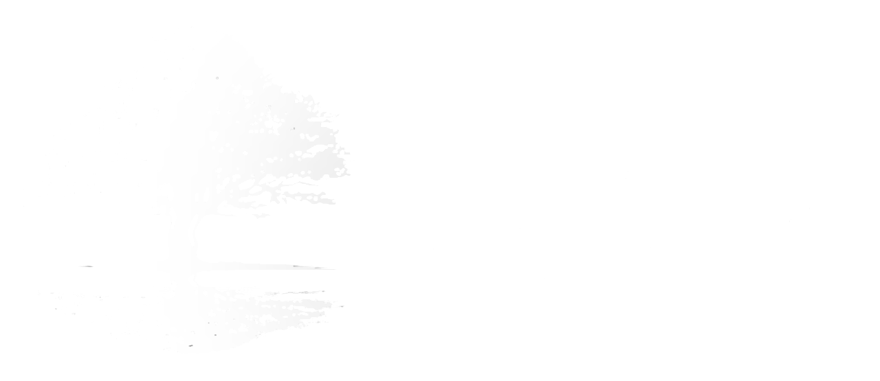 Reflect Logo